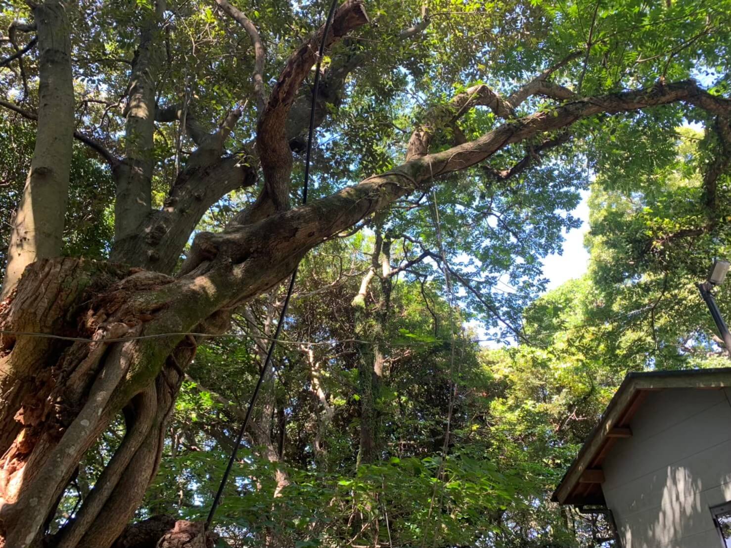 作業後